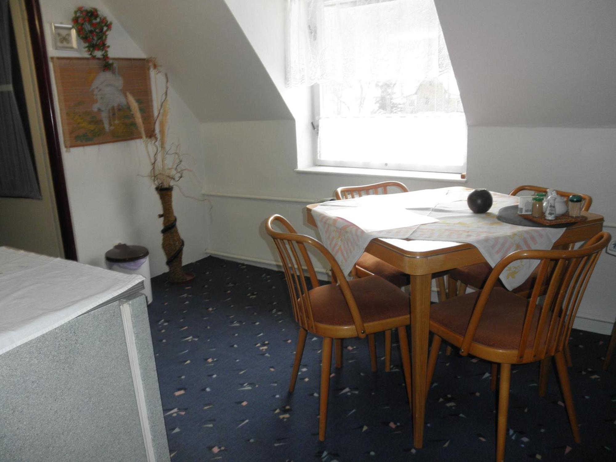 Pension U Kaktusu Karlovy Vary Esterno foto