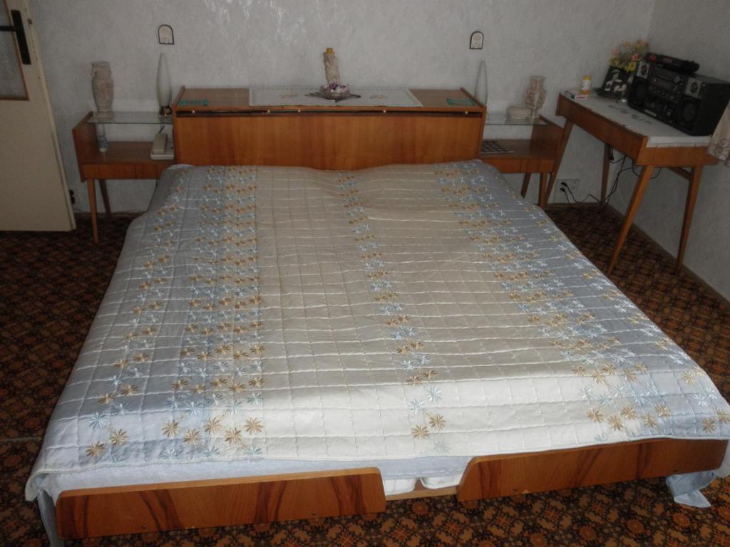 Pension U Kaktusu Karlovy Vary Camera foto